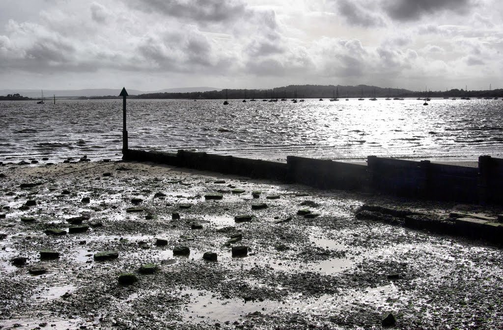 into the sun - harbour groyne
