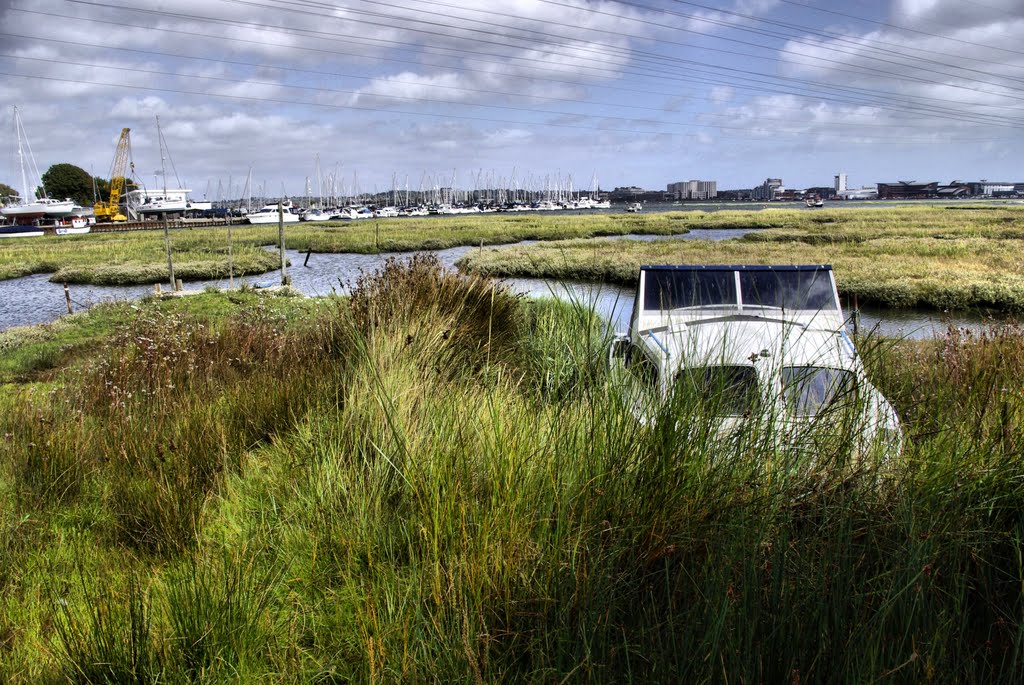 hidden in the reeds