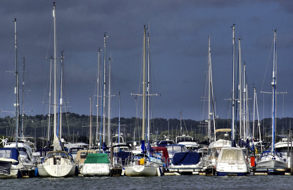 jostling for space on Cobbs Quay