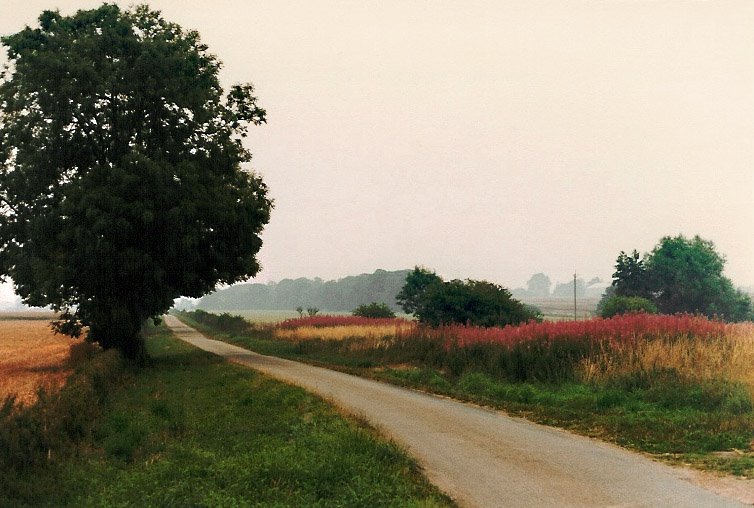 TORRINGTON  LANE