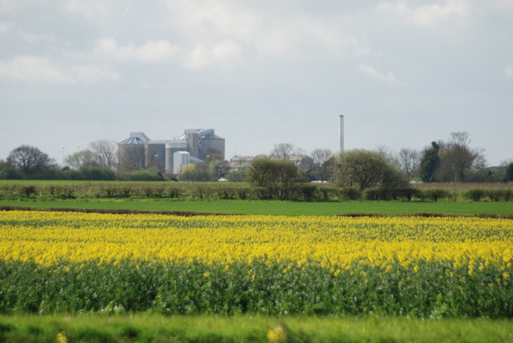 Bardney sugar factory
