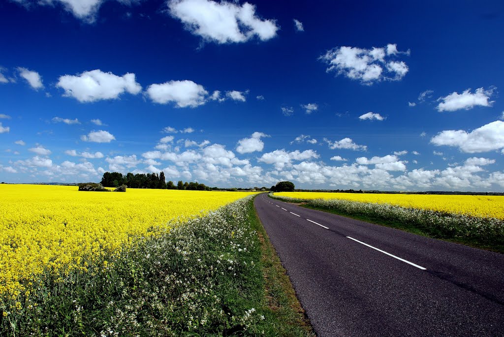 Lincolnshire Landscape (1) B1399 between Fulnetby & Holton-cum-Beckering