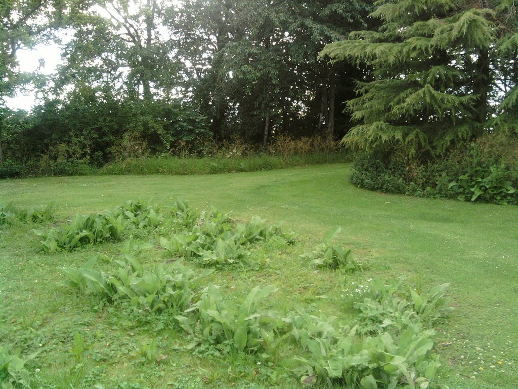 THE GRANGE CL PTCH 3 [RIGHT] 4 [LEFT]
