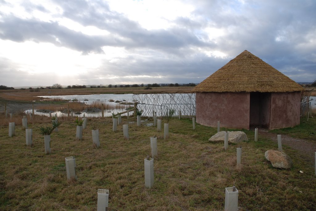 Fiskerton Fen Nature Reserve