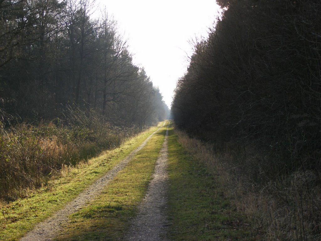 Long walk