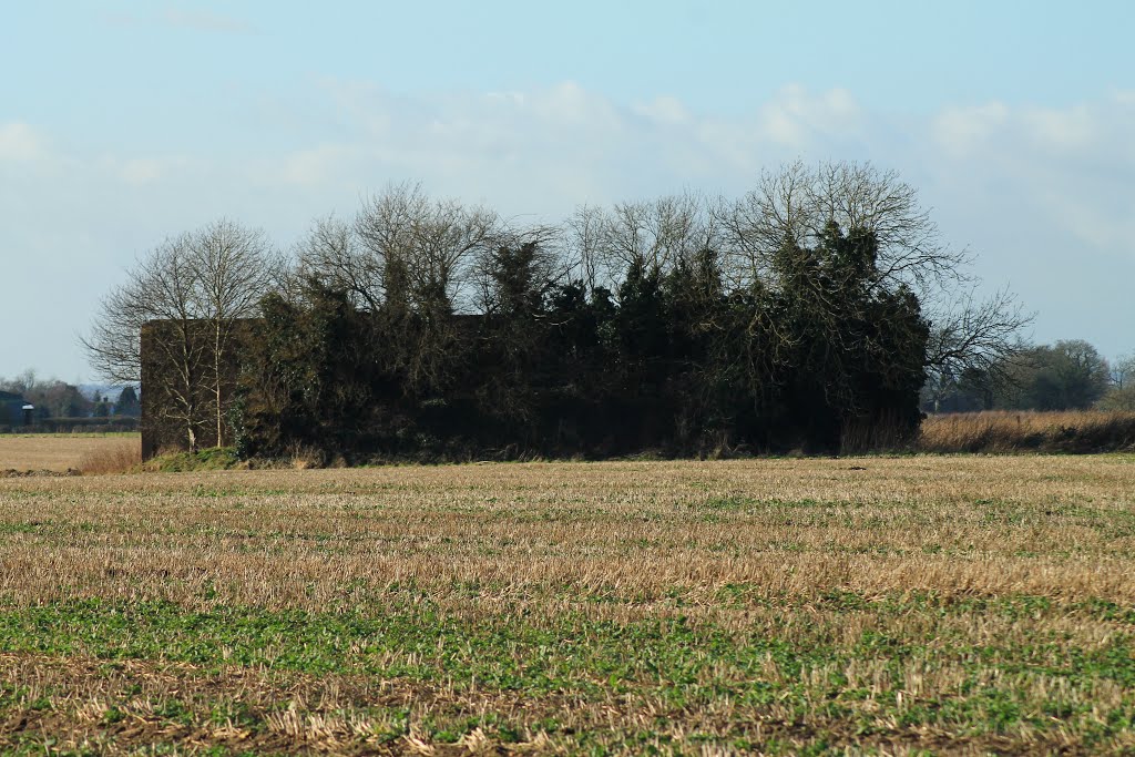 Wickenby firing range butt wall.