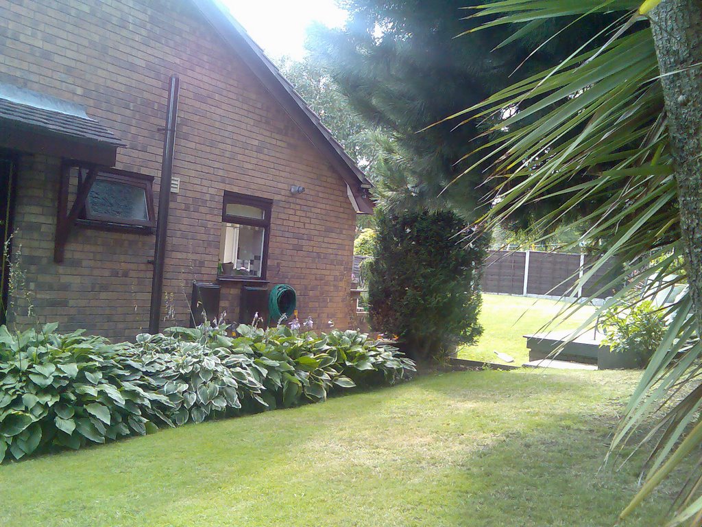 Pauls Garden in Summer