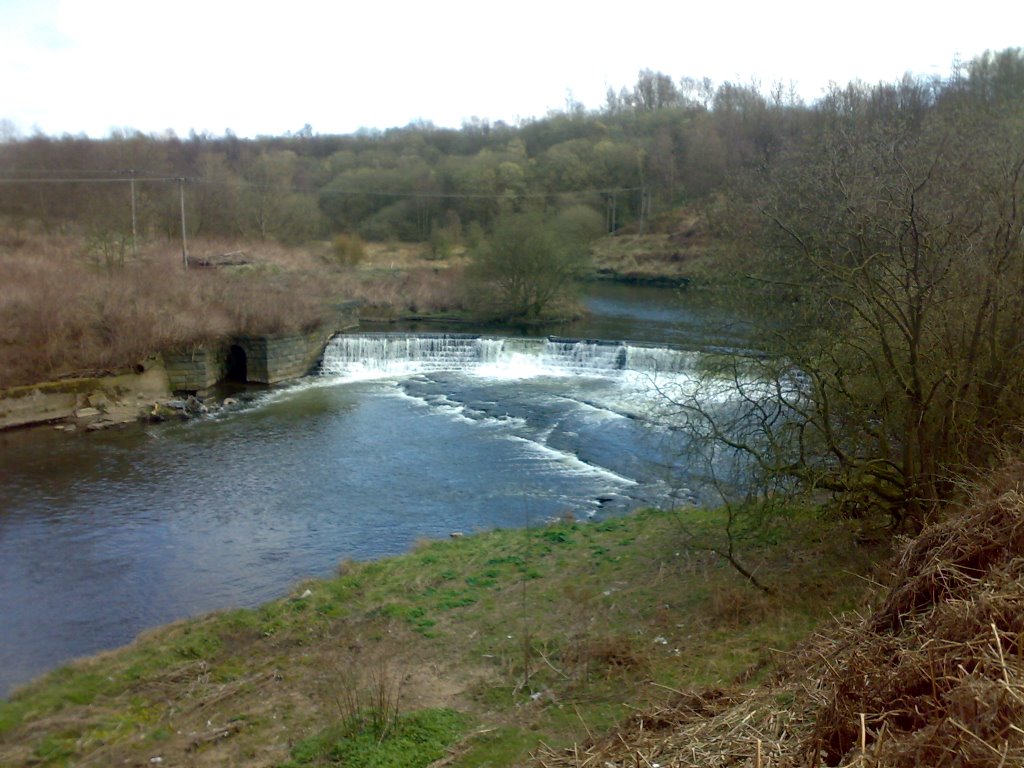 Weir