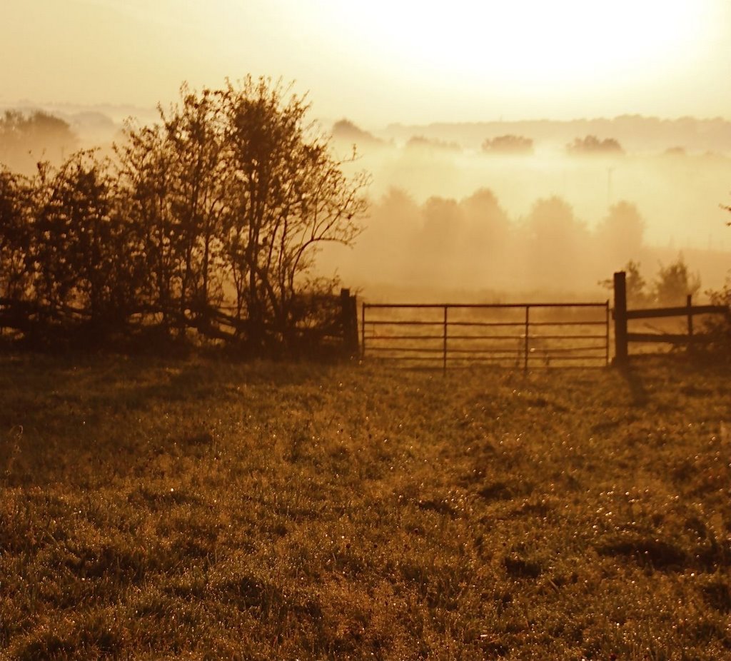 A field gate in Radcliffe