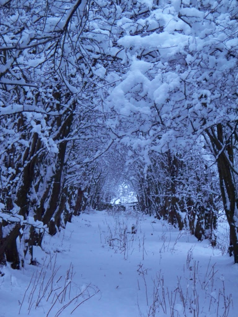 Foorpath from Crow Tree Farm Radcliffe