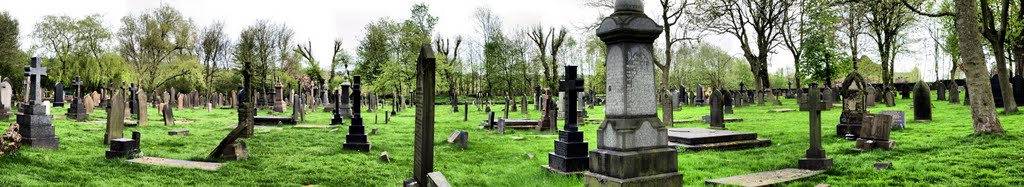 Bury 91 ( panorama na cmentarz w HDR )