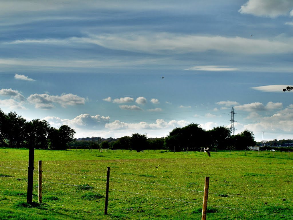 Bury 103