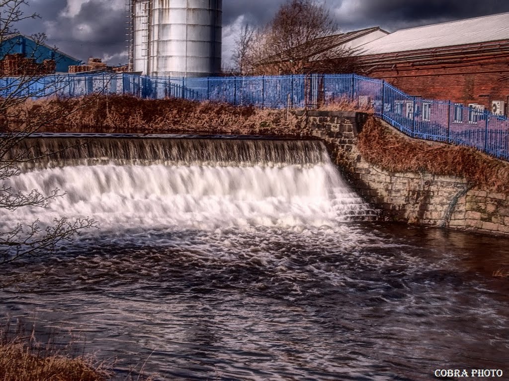 Bury 225