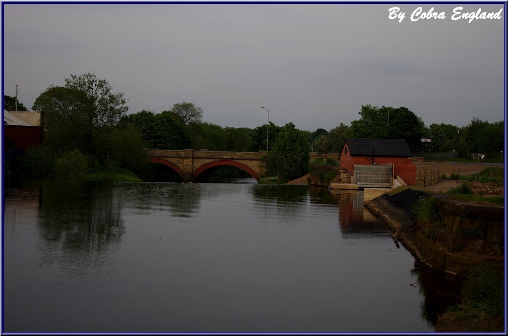 BURY 301