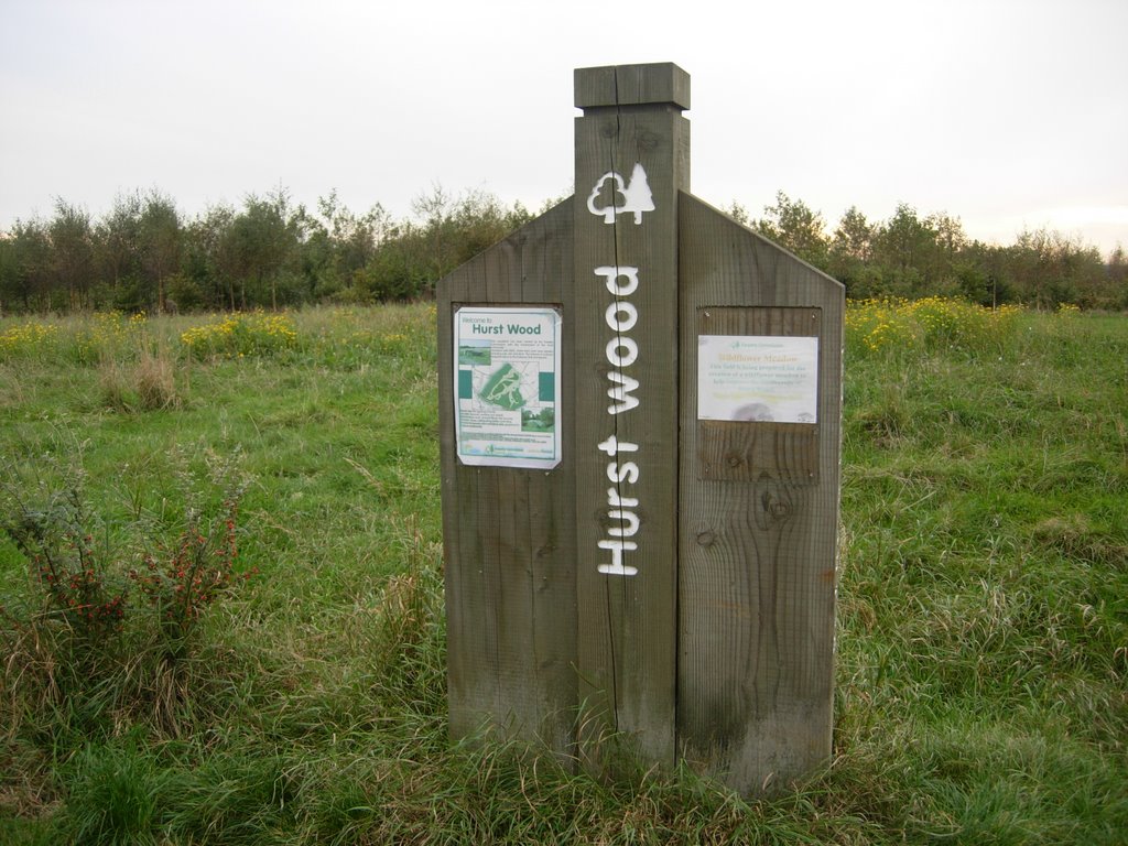 Hurst Wood Bury MBC