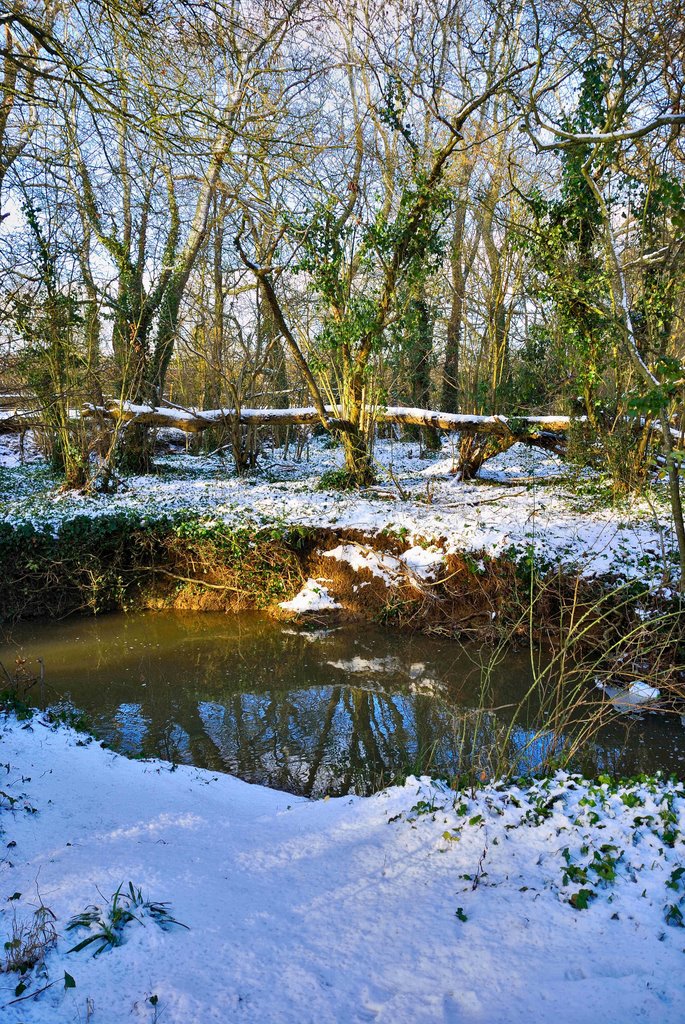 snowy stream in smallbrook