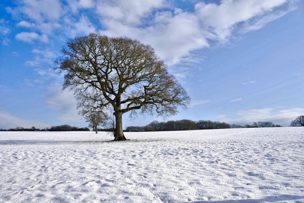 untouched snow
