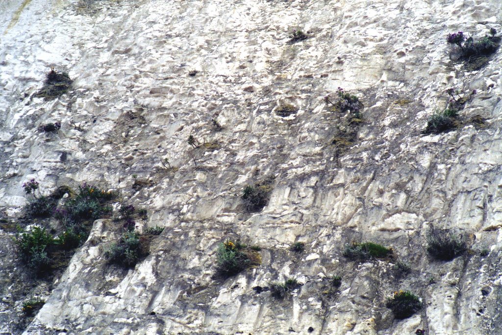 THE CLIFF FACE RAMSGATE