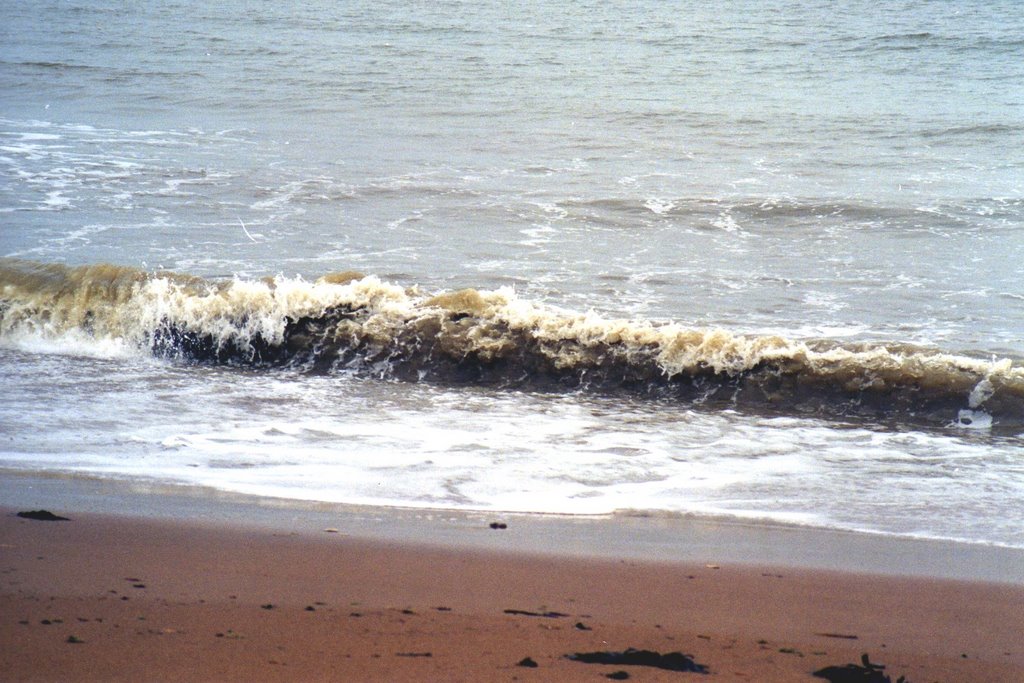 WATER FRONT