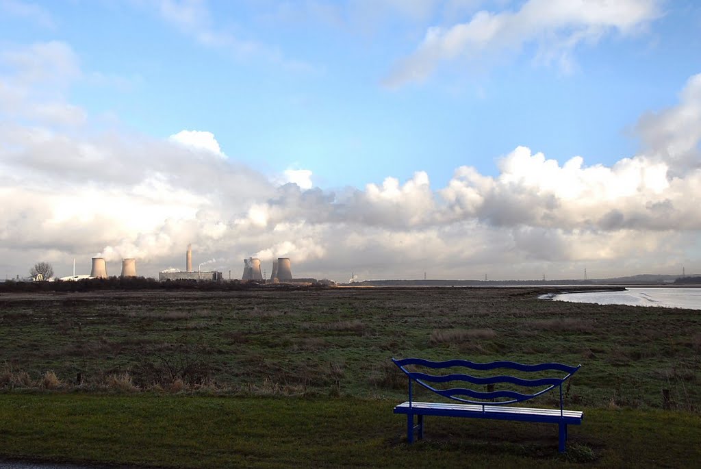 Marsh and power station