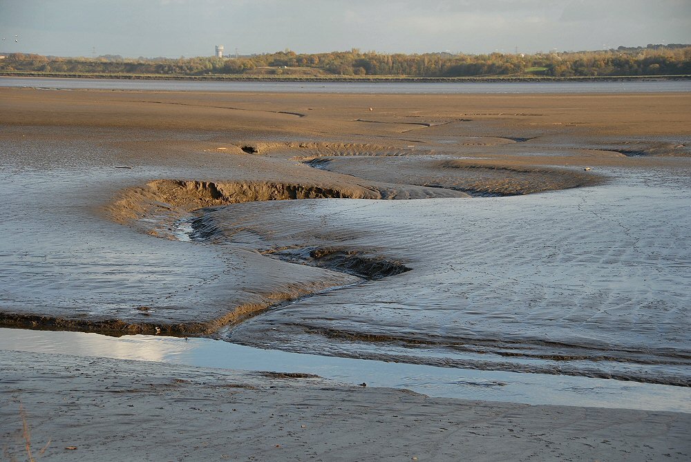 Mud , mud , glorious mud