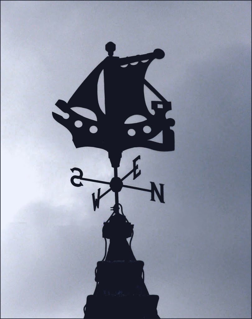Shipping N.E.W.S.