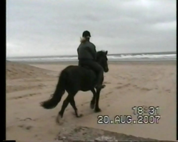 FIRST STEPS REDCAR
