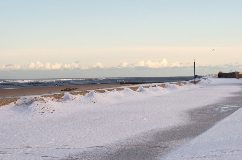 Desolated Redcar
