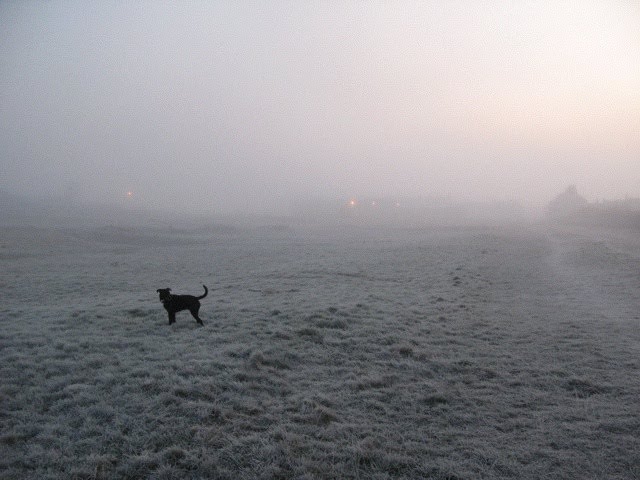 Freezing morning on Coatham Common