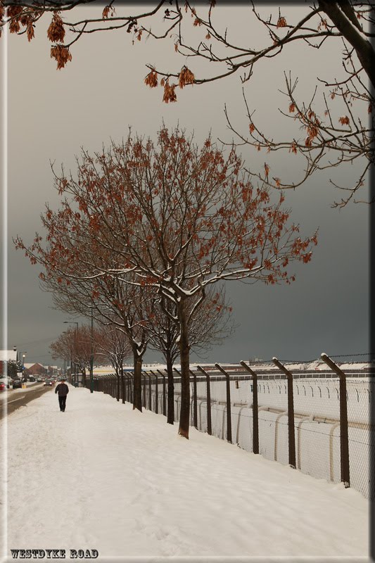 More Snow on the Way