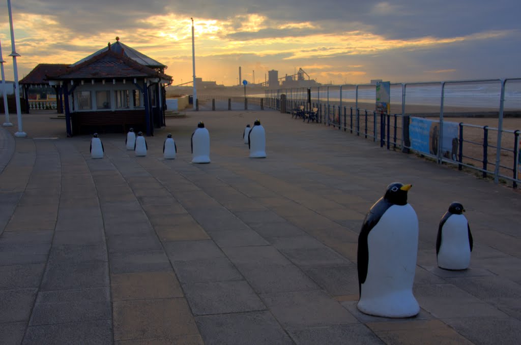HDR of the Penguins on the Esplanade