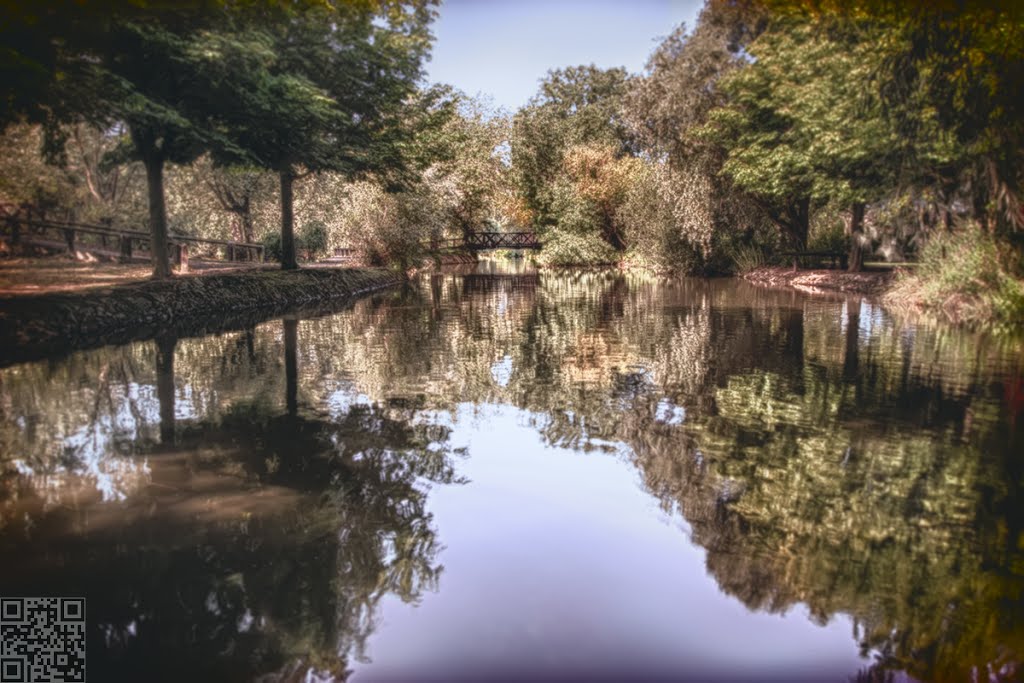 Locke Park