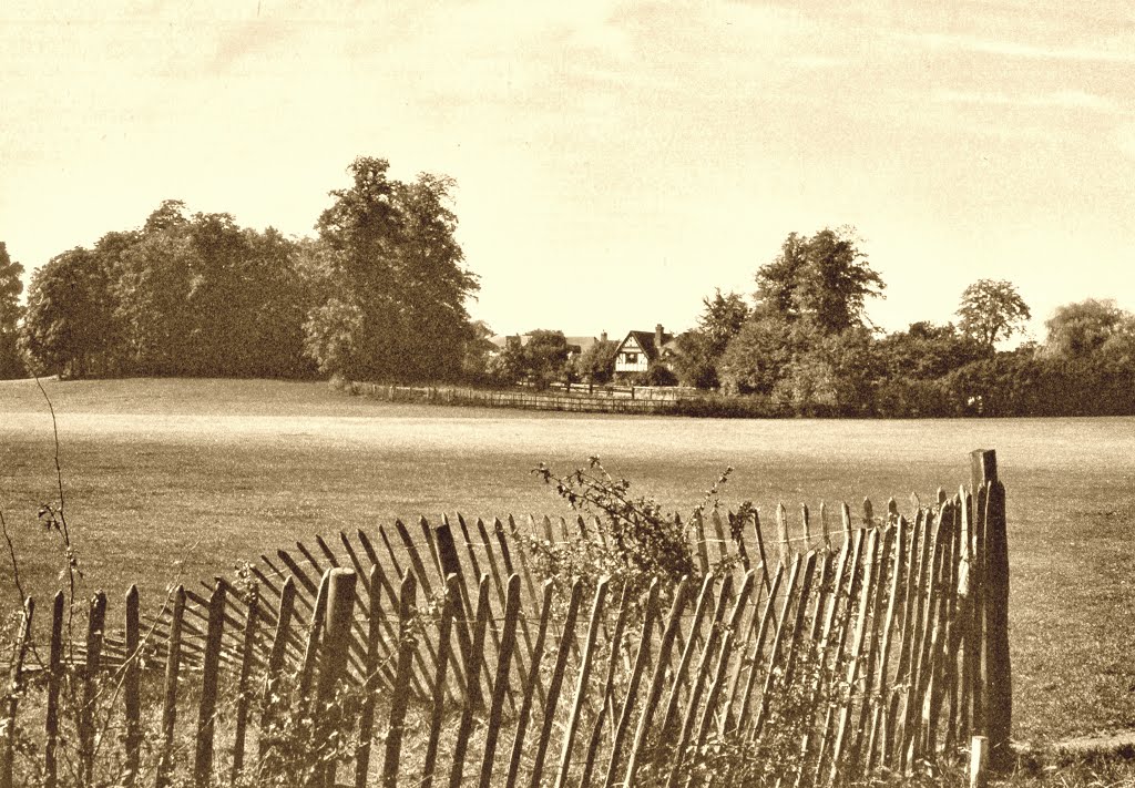 Reigate - Priory Park