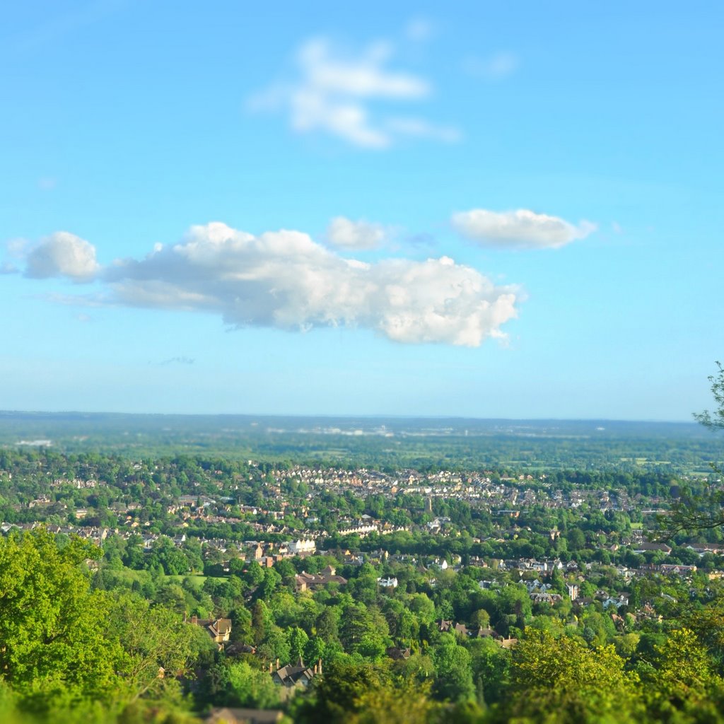 View across Reigate from Reigate Fort