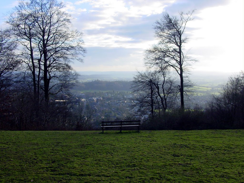 winter landscape