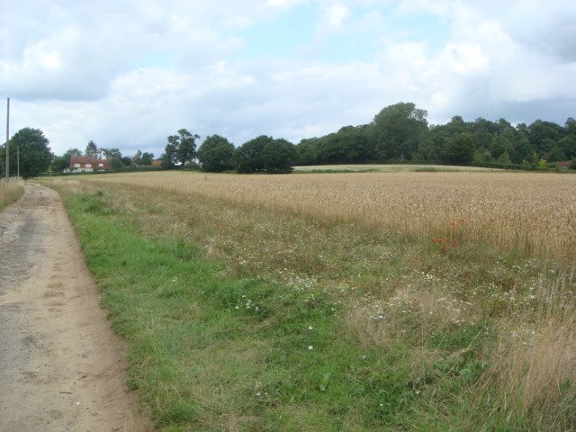 Priory Hill from Flanchford