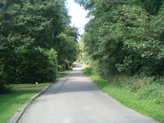 Pilgrims way