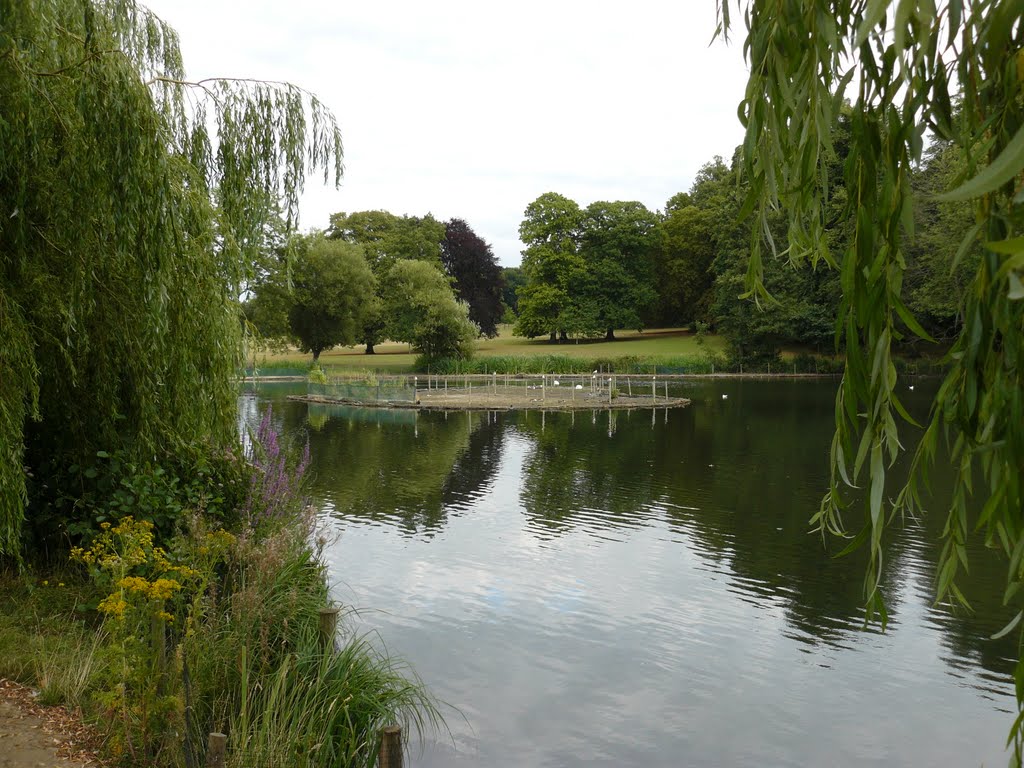 Priory park, the lake