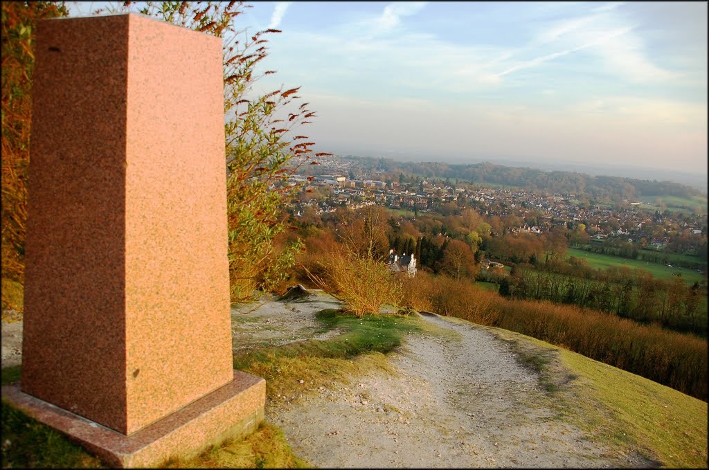 Evening sun on Reigate Hill
