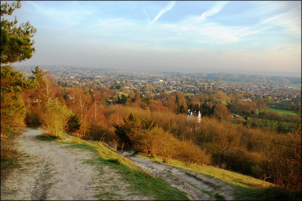 View from Reigate Hill