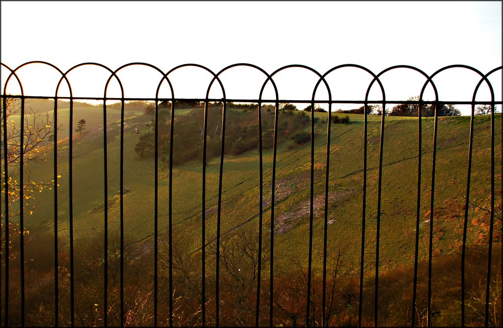 Looking across Reigate Hill