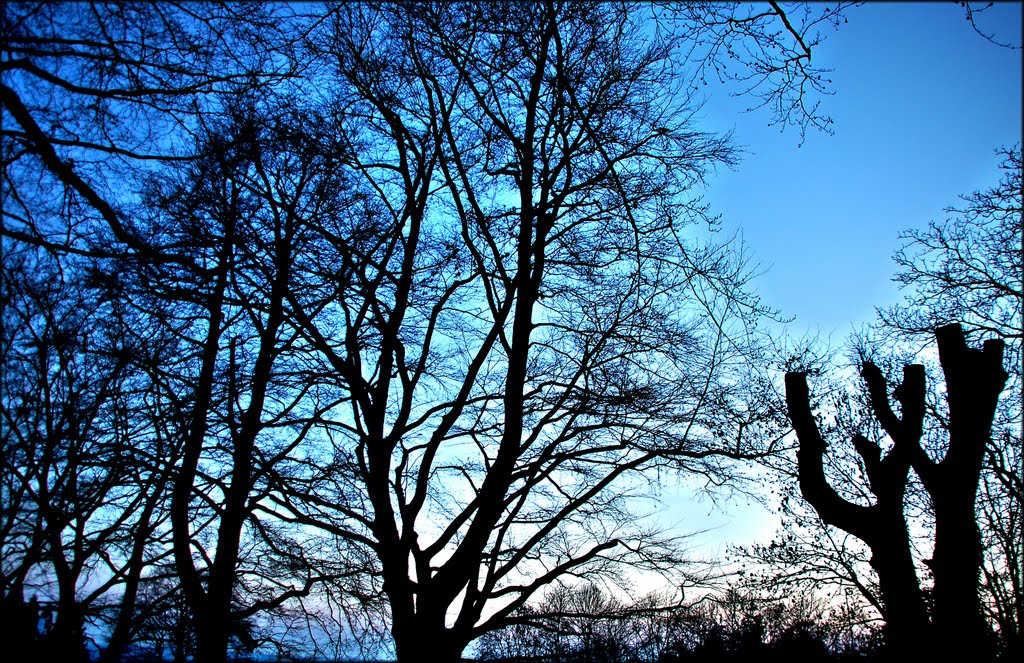 High Beeches at Pilgrims Way, Reigate