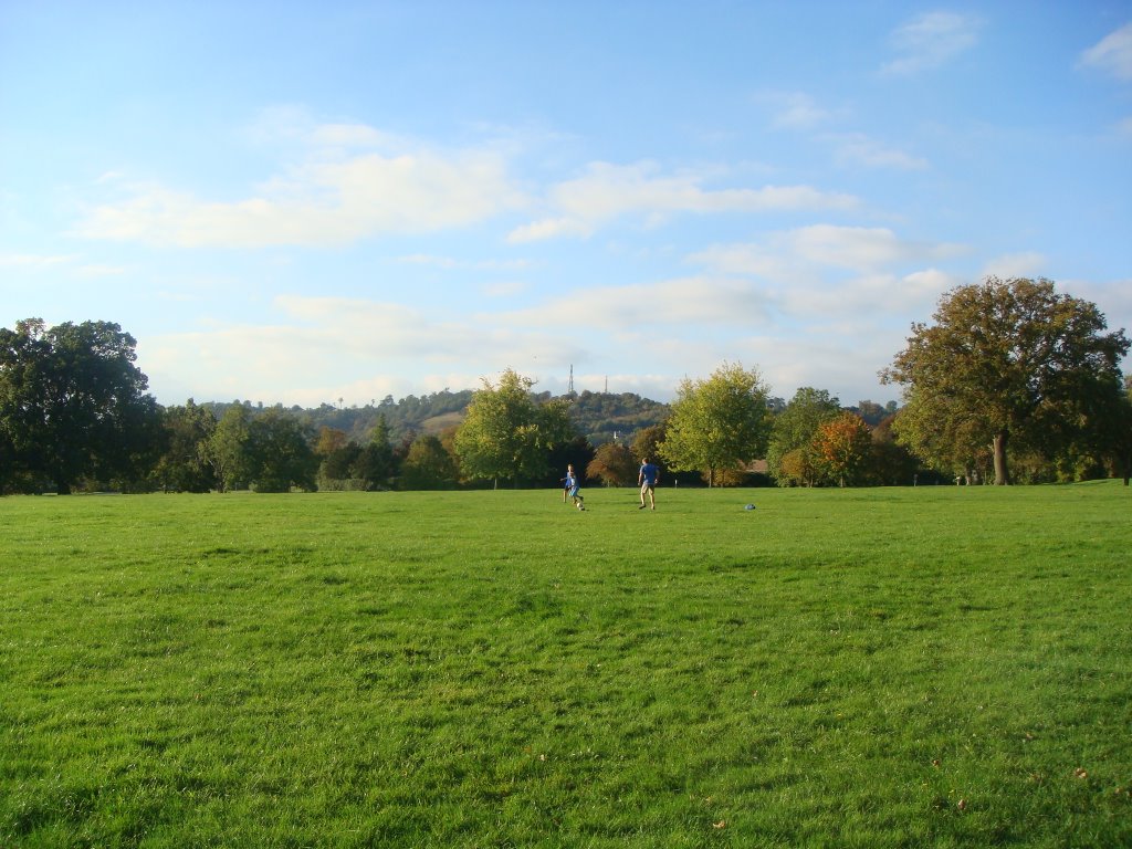 Wray common with Reigate Hill in background