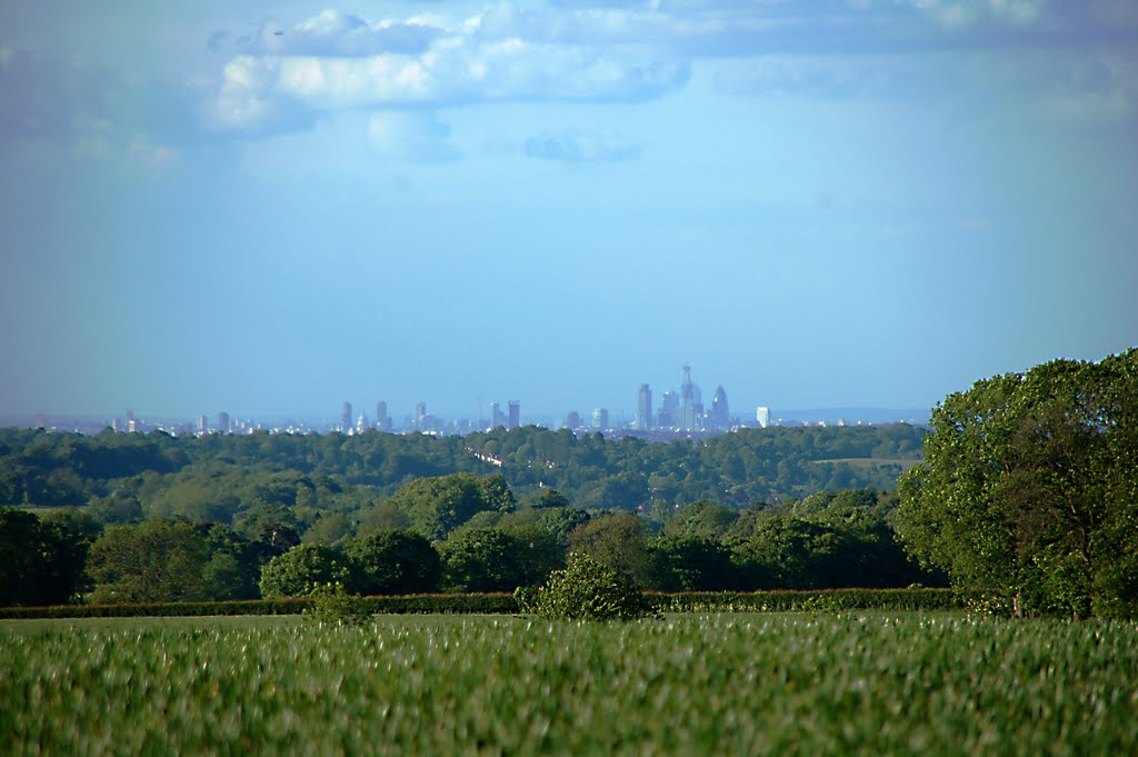 View of the City from Reigate Hill, Surrey