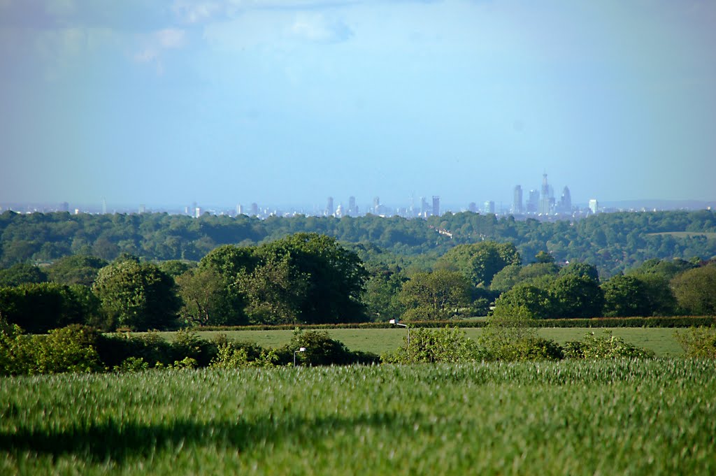 View of the City from Reigate Hill, Surrey