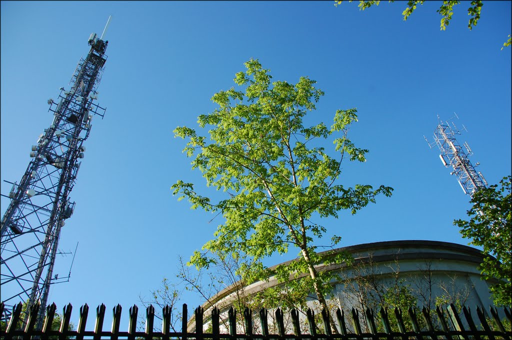 Radio mast on Reigate Hill