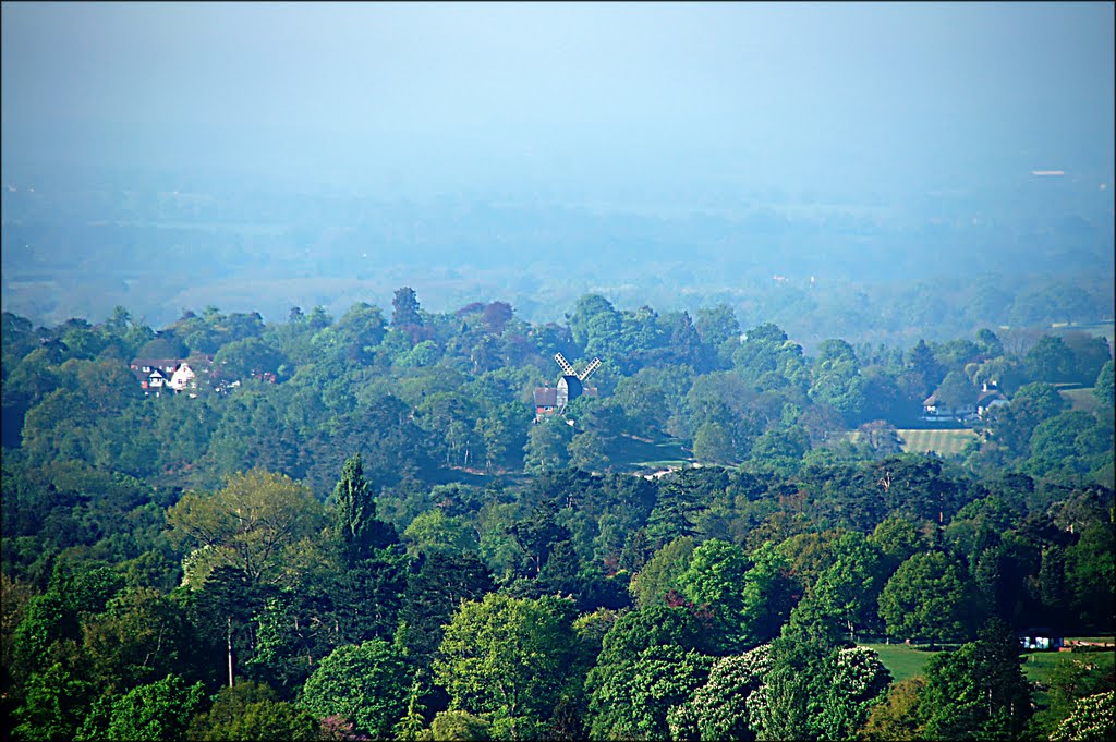 Wray common Windmill from Reigate Hill