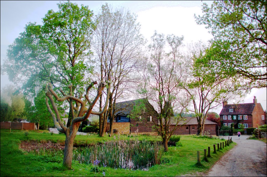 Clayhill Lane, Reigate