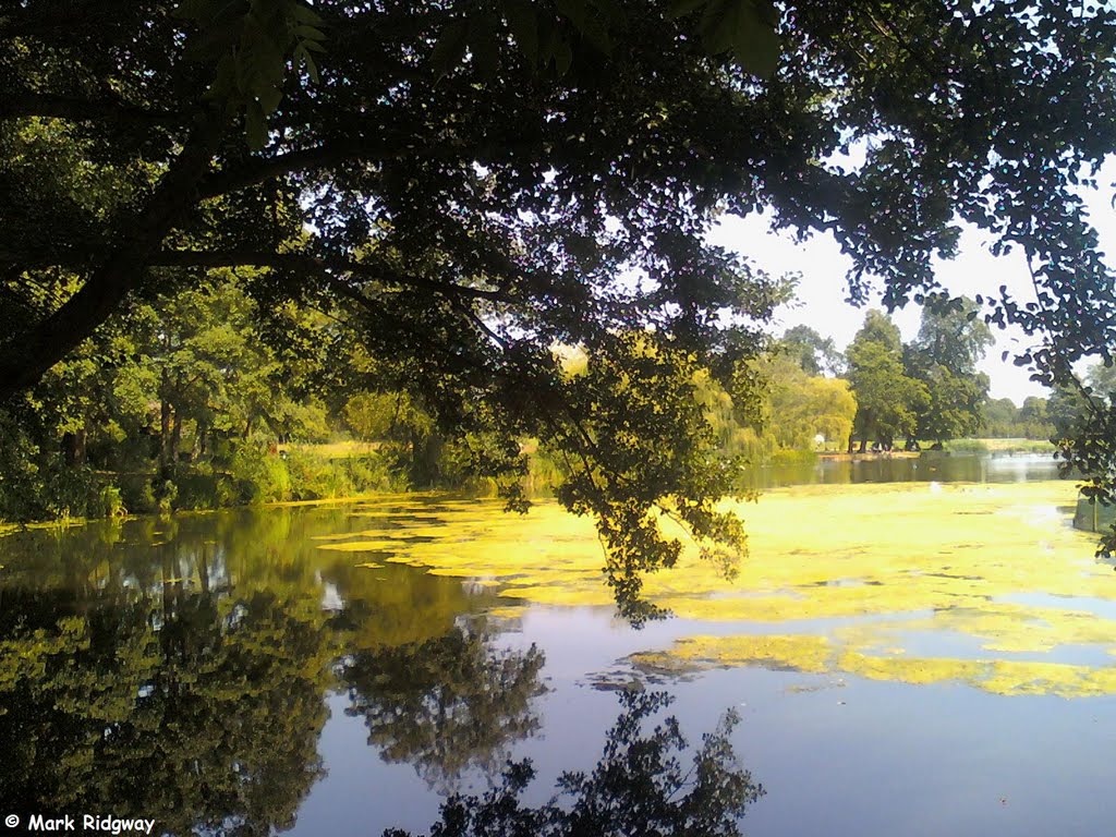 Priory Park Lake (4)