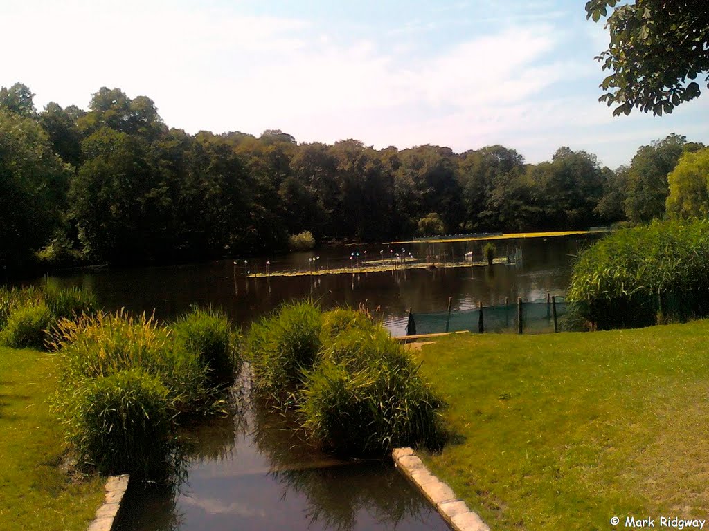 Priory Park Lake (6)